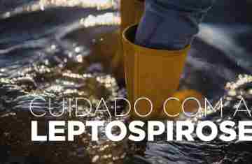  Saúde alerta: leptospirose é doença grave e risco aumenta após chuvas